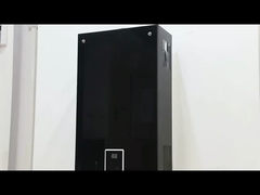 10L 2,6GPM Θερμαντήρας νερού Μαύρη επιφάνεια επικάλυψης LPG NG Τύπος αερίου