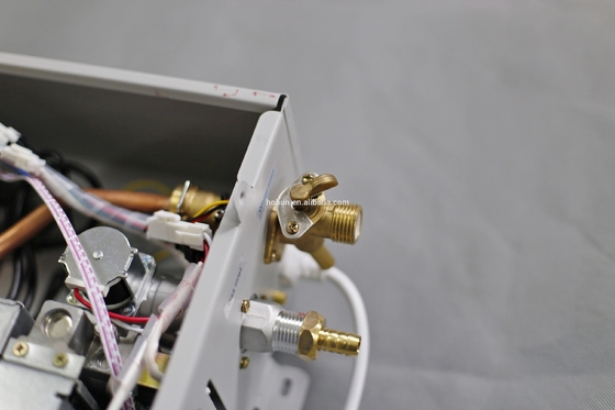 10L Forced Exhaust Gas Water Heater Wall Mounted Stainless Steel