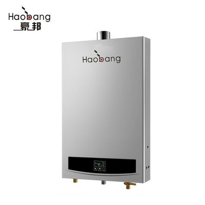 High Energy Efficiency Thermostat Constant Temperature App-Controlled Flue Gas Water Heater and LPG Water Heater