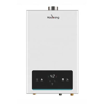 220V 24KW 0.02MPa-0.8MPa Water Pressure Balance Flue Gas Water Heater with Free Spare Parts